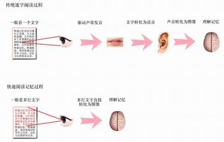 眼腦直映  高效閱讀     ——  精英特速讀記憶訓(xùn)練網(wǎng)