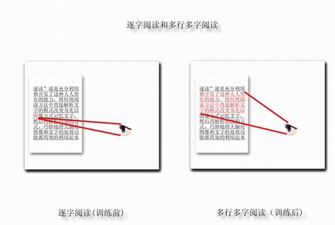 一目十行不是夢,過目不忘你也能! —— 精英特速讀記憶訓練網